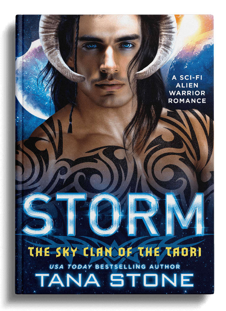 Storm by Tana Stone Book cover of Storm by Tana Stone